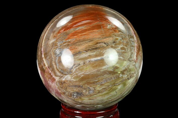 Colorful Petrified Wood Sphere - Madagascar #135659
